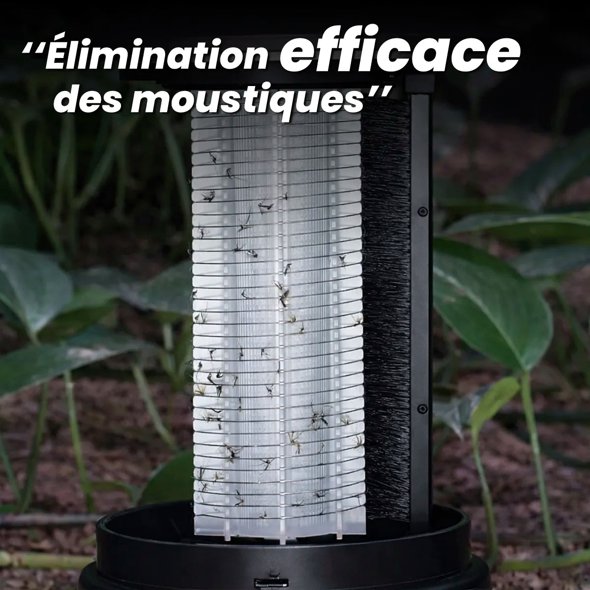 Lampe Anti-Moustique Rechargeable à LED UV – 50 m² de protection